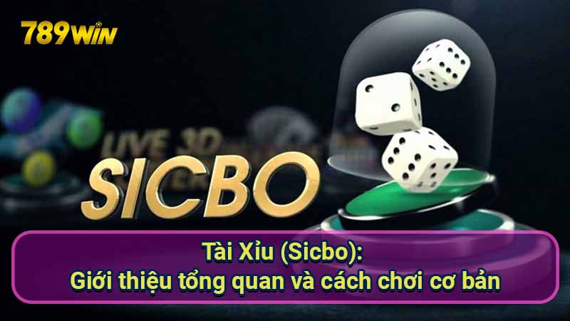 Tài Xỉu (Sicbo): Hướng dẫn chơi chi tiết và chiến thuật hiệu quả 5 tai-xiu-(sicbo):-gioi-thieu-tong-quan-va-cach-choi-co-ban